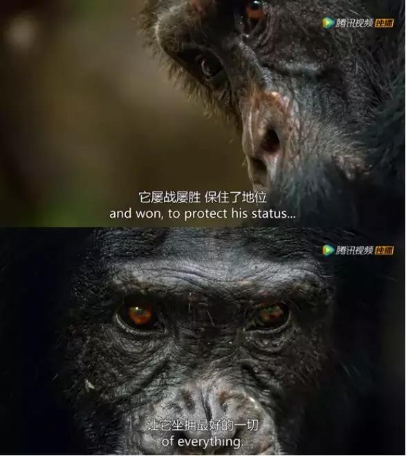 莱万多夫斯基在公牛比赛中战术调整，突破纪录引发热议！的简单介绍